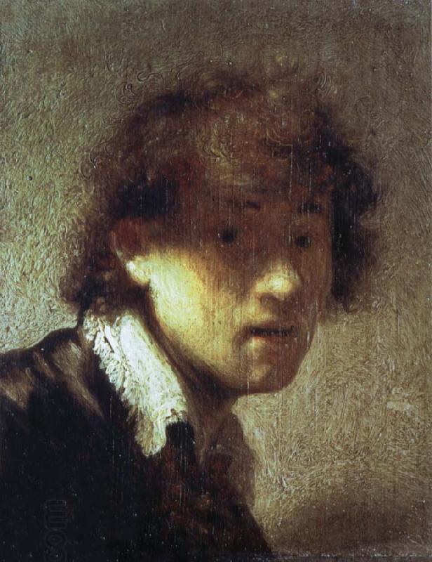 REMBRANDT Harmenszoon van Rijn Self-Portrait as a Young Man oil painting picture